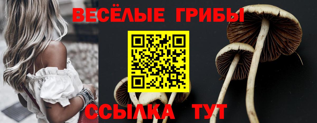 Галлюциногенные грибы мицелий Сатка